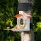 Show in main carousel: PerchMe Smart Bird Feeder with Camera, Mango Tango slide 3 of 10