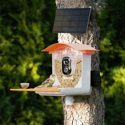 Show full view: PerchMe Smart Bird Feeder with Camera, Mango Tango slide 3 of 10