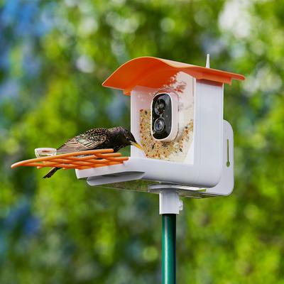 Show full view: PerchMe Smart Bird Feeder with Camera, Mango Tango slide 2 of 10