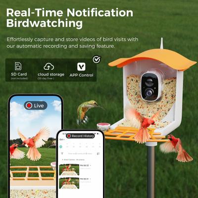 Show full view: PerchMe Smart Bird Feeder with Camera, Mango Tango slide 4 of 10
