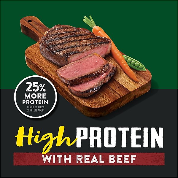 Dog Chow High Protein Real Beef Recipe Dry Dog Food