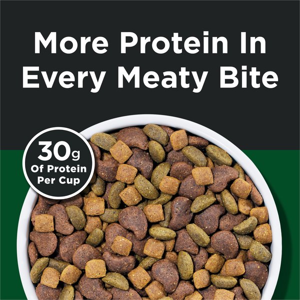 Dog Chow High Protein Recipe with Real Lamb & Beef Flavor Dry Dog Food, 44-lb bag
