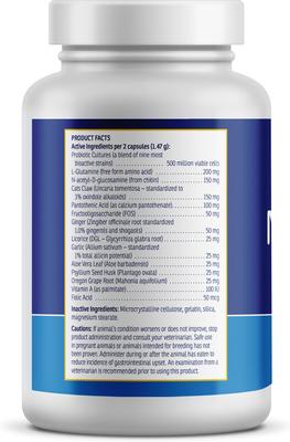 Show full view: Rx Vitamins Nutrigest Capsules Digestive Supplement for Cats & Dogs, 90 count slide 6 of 7