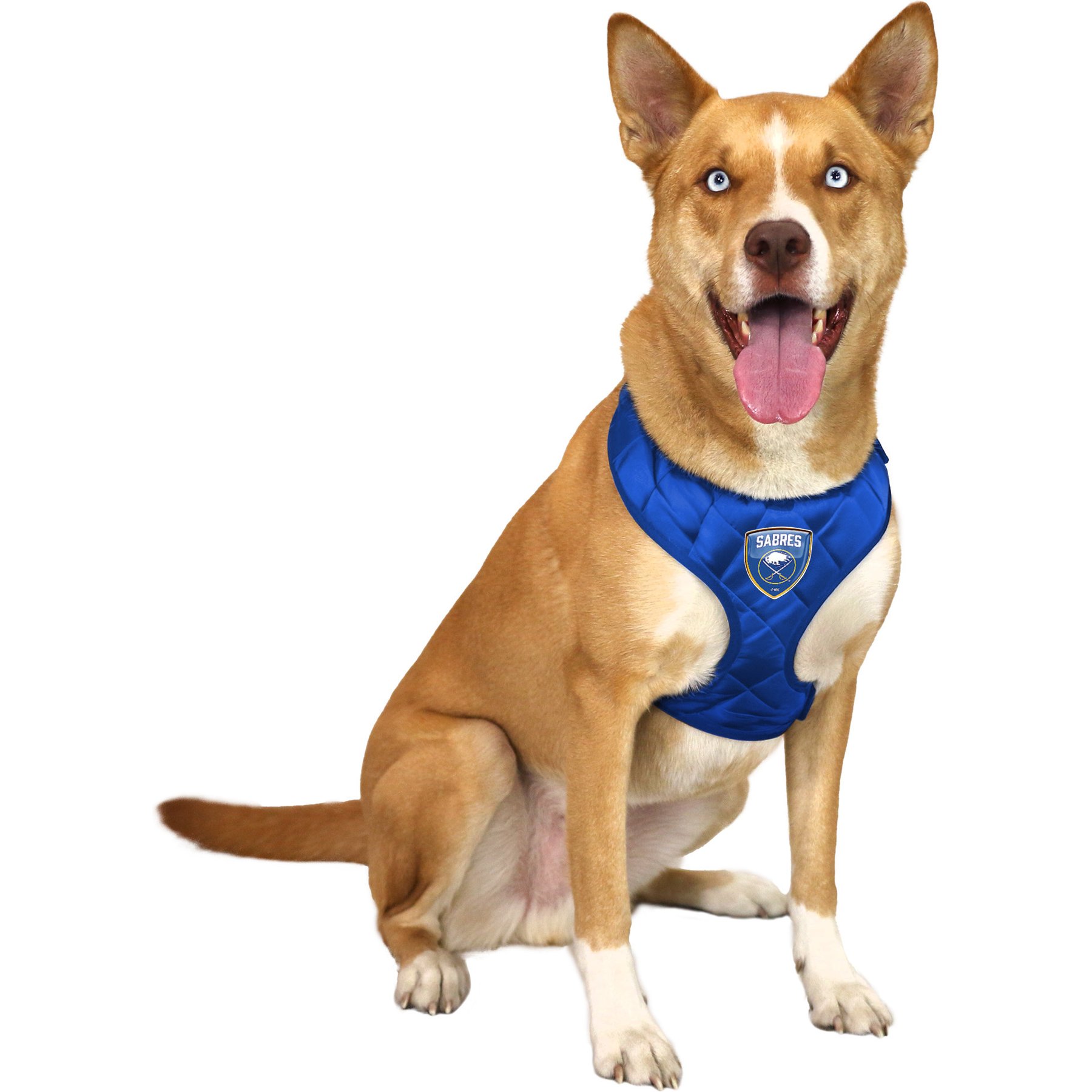 Littlearth NHL Velvet Dog Harness, Buffalo Sabres, Large