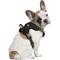 Show in main carousel: Littlearth NHL Front Clip Dog Harness, X-Small, Los Angeles Kings slide 1 of 5