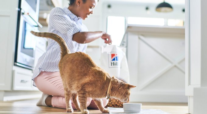 Hill's Prescription Diet c/d Multicare Urinary Care with Chicken Dry Cat Food