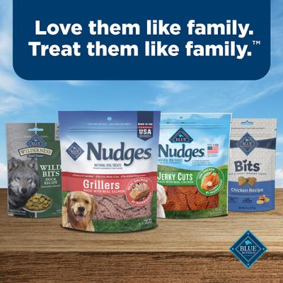Show full view: Blue Buffalo Nudges Grillers Natural Salmon Soft Chewy Dog Treats, 16-oz bag slide 10 of 11