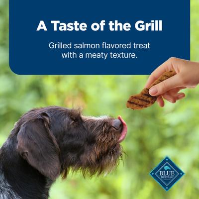 Show full view: Blue Buffalo Nudges Grillers Natural Salmon Soft Chewy Dog Treats, 16-oz bag slide 7 of 11