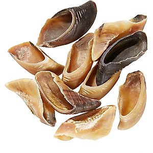 Bones & Chews Made in USA Beef Hooves Dog Treat, 10 count