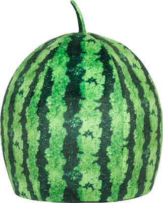 Show full view: YML Watermelon Cat & Dog Bed, Green & Red, Small slide 4 of 10