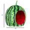 Show in main carousel: YML Watermelon Cat & Dog Bed, Green & Red, Small slide 3 of 10