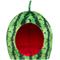 Show in main carousel: YML Watermelon Cat & Dog Bed, Green & Red, Small slide 1 of 10