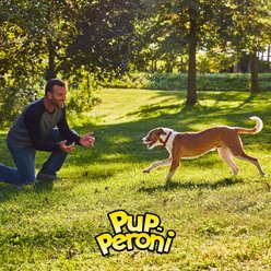Pup-Peroni Filet Mignon & Bacon Flavors Dog Treats, 22.5-oz bag slide 2 of 8