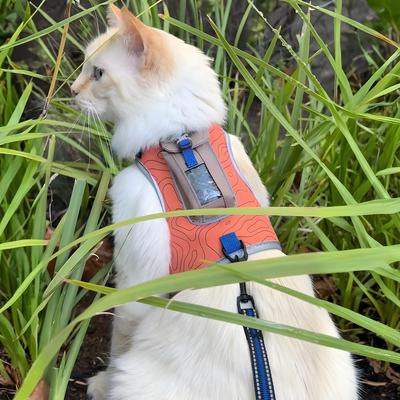 Show full view: Travel Cat The Pathfinder Reflective Cat Harness with GPS Tracker Pocket, Orange Sunset, Small: 14 to 16-in chest slide 8 of 10