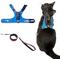 Show in main carousel: Travel Cat The Pathfinder Reflective Cat Harness with GPS Tracker Pocket, Blue Sky, Small: 14 to 16-in chest slide 1 of 10