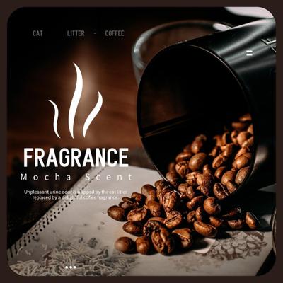 Show full view: allforpaws 5-in-1 Coffee Scented Clumping Tofu Cat Litter, 2.5-kg bag, case of 6 slide 6 of 10