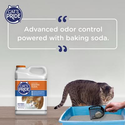 Show full view: Cat's Pride Baking Soda Lightweight Scented Clumping Clay Cat Litter, 10-lb jug slide 7 of 9