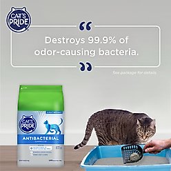 Cat's Pride Antibacterial Lightweight Clumping Cat Litter, 18-lb bag slide 2 of 7