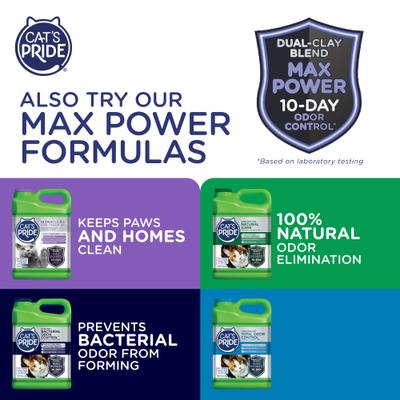 Show full view: Cat's Pride Flushable Lightweight Scented Clumping Clay Cat Litter, 10-lb jug slide 9 of 11