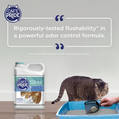 Show full view: Cat's Pride Flushable Lightweight Scented Clumping Clay Cat Litter, 10-lb jug slide 7 of 11