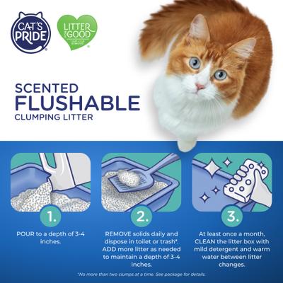 Show full view: Cat's Pride Flushable Lightweight Scented Clumping Clay Cat Litter, 10-lb jug slide 6 of 11