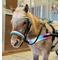 Show in main carousel: Star Point Horsemanship Miniature Horse Bridle & Reins Set, Rainbow Glitter slide 3 of 6