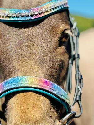 Show full view: Star Point Horsemanship Miniature Horse Bridle & Reins Set, Rainbow Glitter slide 2 of 6