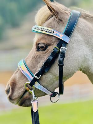 Show full view: Star Point Horsemanship Miniature Horse Bridle & Reins Set, Holographic slide 2 of 7