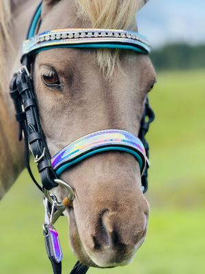 Show full view: Star Point Horsemanship Miniature Horse Bridle & Reins Set, Holographic slide 3 of 7