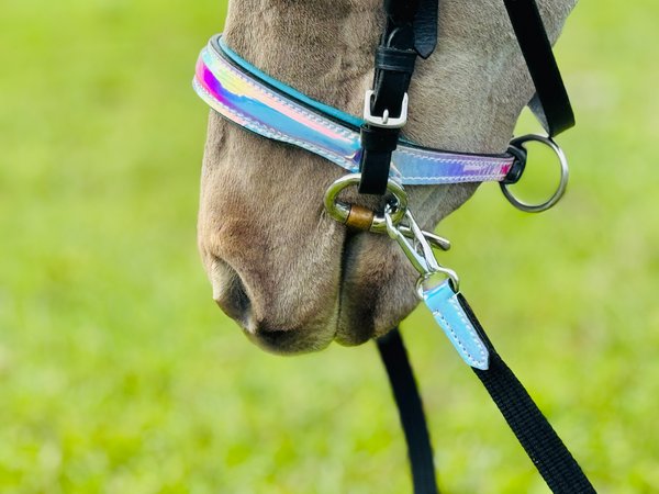 Star Point Horsemanship Miniature Horse Neoprene Cinch Girth