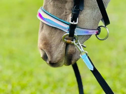 Show full view: Star Point Horsemanship Miniature Horse Bridle & Reins Set, Holographic slide 4 of 7