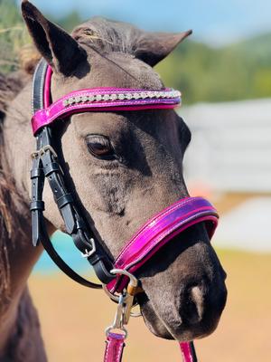 Show full view: Star Point Horsemanship Miniature Horse Bridle & Reins Set, Raspberry Holographic slide 4 of 6
