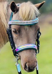 Star Point Horsemanship Miniature Horse Bridle & Reins Set, Holographic