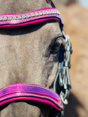 Show full view: Star Point Horsemanship Miniature Horse Bridle & Reins Set, Raspberry Holographic slide 3 of 6