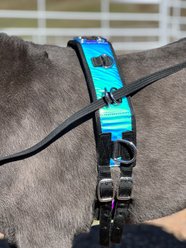 Star Point Horsemanship Miniature Horse-Pony Groundwork Training Surcingle & Reins Set, Holographic slide 2 of 2