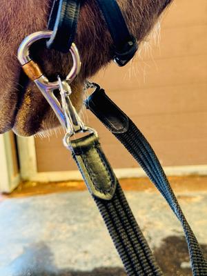 Show full view: Star Point Horsemanship Miniature Horse Bridle & Reins Set, Black slide 2 of 4