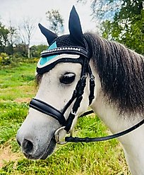 Star Point Horsemanship Miniature Horse Bridle & Reins Set, Black