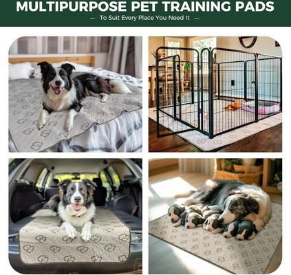 Show full view: FXW Washable Dog Pee Pads, Rectangle: 29 x 18-in, 2 count slide 5 of 7