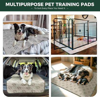 Show full view: FXW Washable Dog Pee Pads, Rectangle: 75 x 30-in, 2 count slide 5 of 7