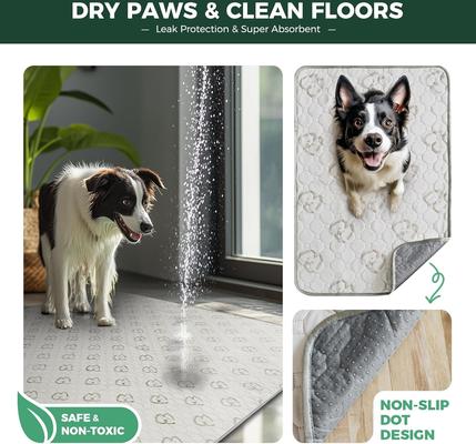 Show full view: FXW Washable Dog Pee Pads, Rectangle: 29 x 18-in, 2 count slide 3 of 7
