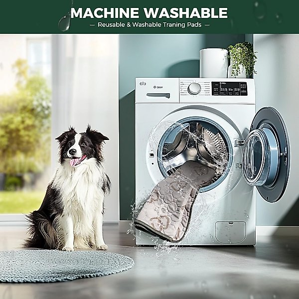 Show full view: FXW Washable Dog Pee Pads, Rectangle: 29 x 18-in, 2 count slide 2 of 7