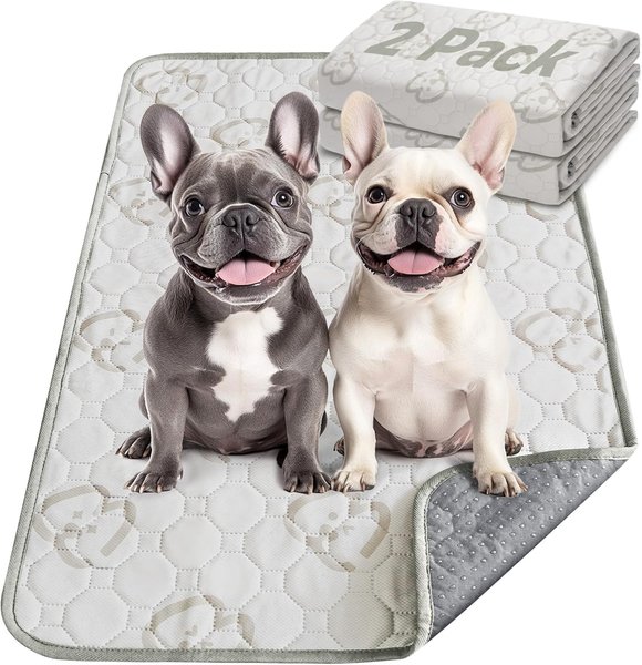 Show full view: FXW Washable Dog Pee Pads, Rectangle: 29 x 18-in, 2 count slide 1 of 7