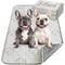 Show in main carousel: FXW Washable Dog Pee Pads, Rectangle: 29 x 18-in, 2 count slide 1 of 7