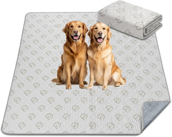 Show full view: FXW Washable Dog Pee Pads, Square: 63 x 63-in, 1 count slide 1 of 7