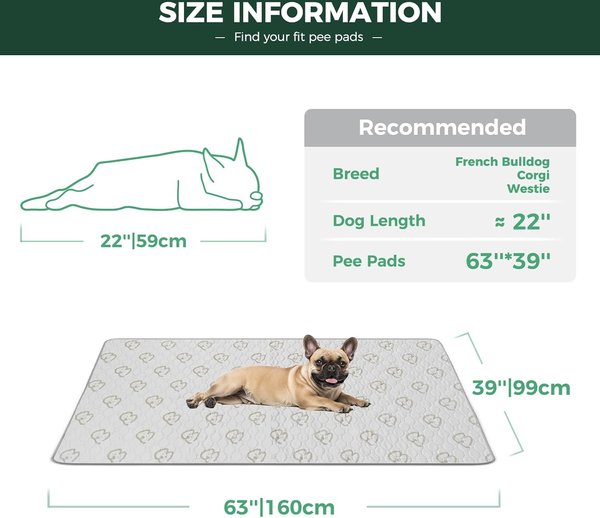 Show full view: FXW Washable Dog Pee Pads, Rectangle: 63 x 39-in, 1 count slide 2 of 8