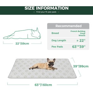 FXW Washable Dog Pee Pads, Khaki, Rectangle: 63 x 39-in, 1 count