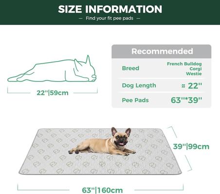 Show full view: FXW Washable Dog Pee Pads, Rectangle: 63 x 39-in, 1 count slide 2 of 8
