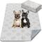Show in main carousel: FXW Washable Dog Pee Pads, Rectangle: 63 x 39-in, 1 count slide 1 of 8