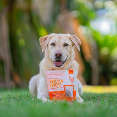 Show full view: Smallbatch Pets Freeze-Dried Chicken Livers Dog Treat, 3.5-oz bag slide 7 of 8