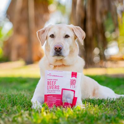 Show full view: Smallbatch Pets Freeze-Dried Beef Livers Dog Treat, 4-oz bag slide 7 of 8
